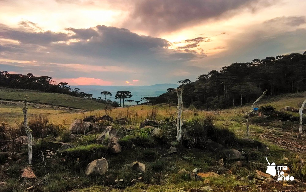 Campos de Cima da Serra e Aparados da Serra: você não conhece? 1 Campos da serra