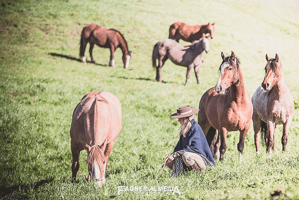 Traje da prenda: para fazer bonito 1 Vários Cavalos pastando